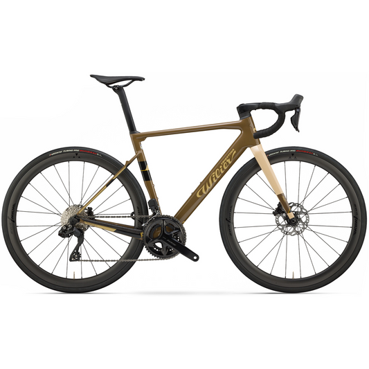 Wilier Rave SL